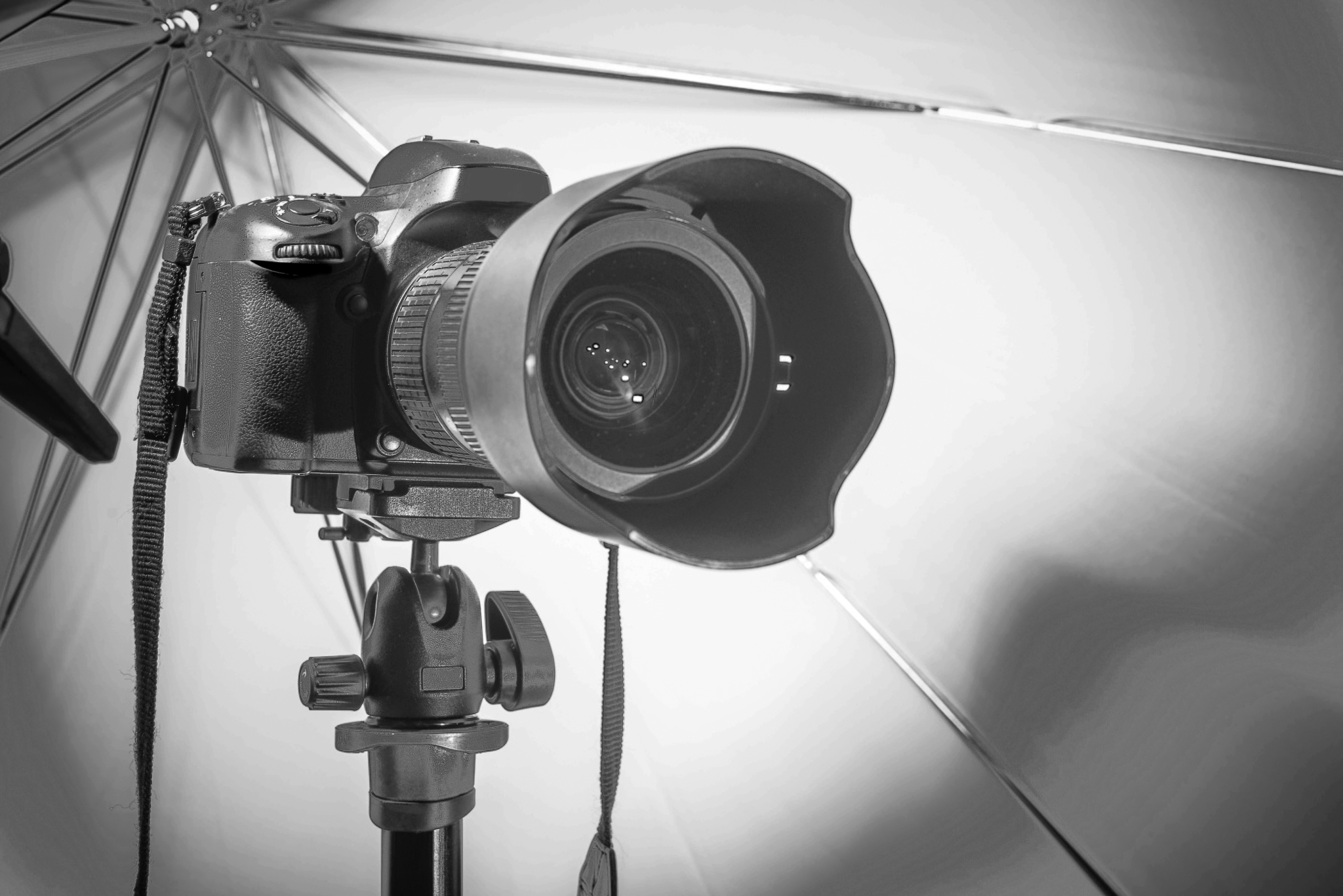 bucktowns-best-videography bucktowns-best-videography